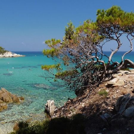 Hotel Alexandros أورموس باناجياس المظهر الخارجي الصورة